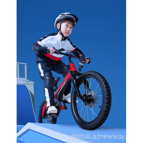 Kids Bike Ninebot 18 inch Kids Bikes Sport Bicycles Children Supplier